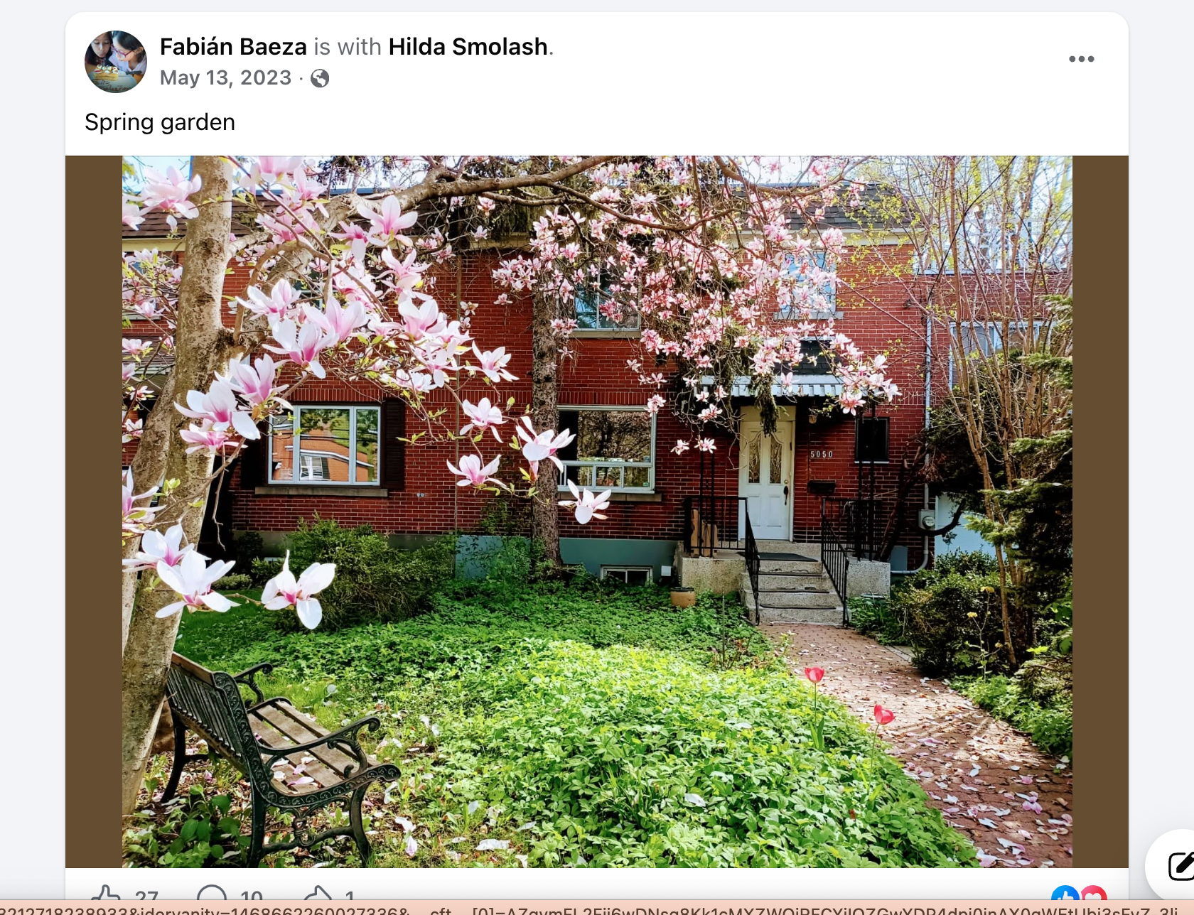 Hilda and Peter’s red-brick home and front garden in spring, with pink magnolia blossoms