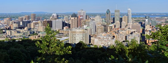 Montreal skyline viewed from Mount Royal